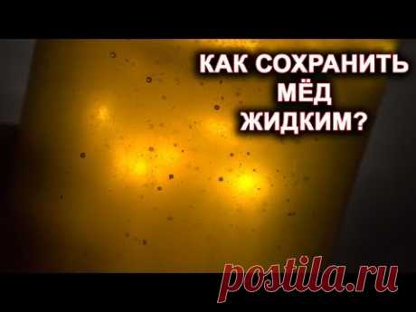 Как сохранить мёд жидким на весь год?