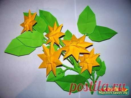 Оригами мастер-класс. Ломонос (клематис)