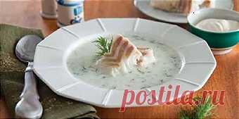 Рыбный суп с укропом - Рецепты для Мультиварки
