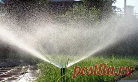 Автополив газона