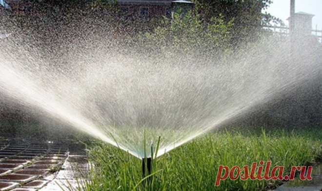Автополив газона