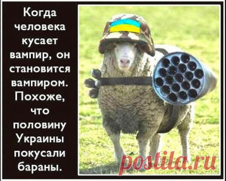 Русские на войне своих не бросают | Под прицелом