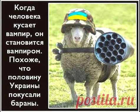 Русские на войне своих не бросают | Под прицелом