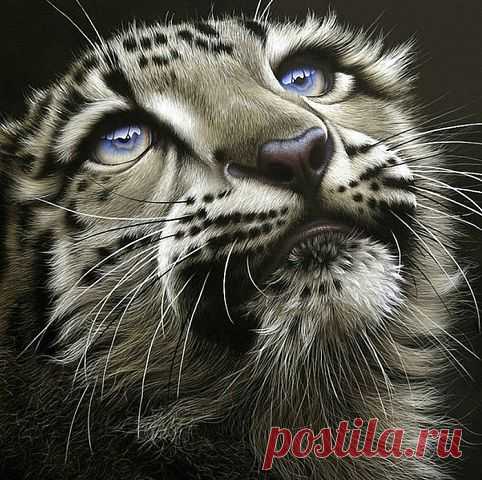 Одноклассники