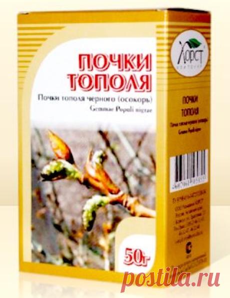 Тополь черный в народной медицине.