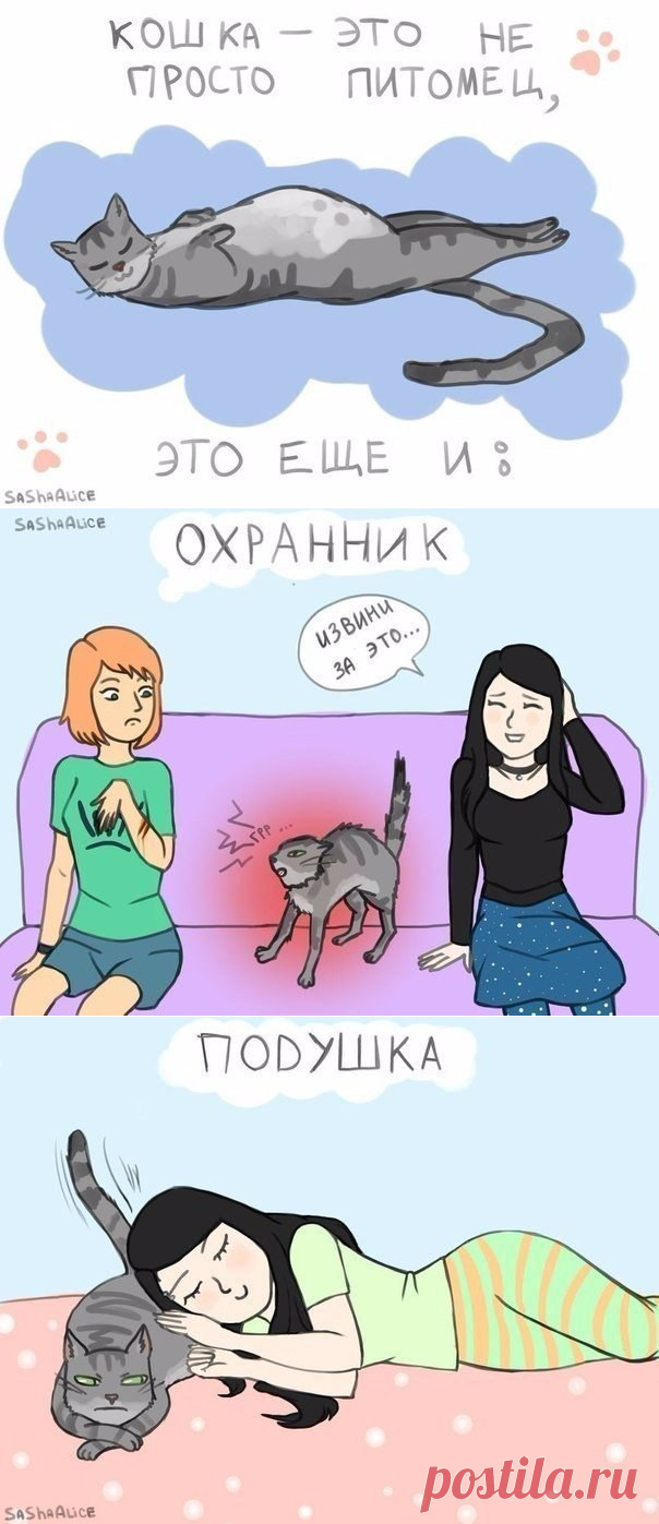 Кошки - это не просто...