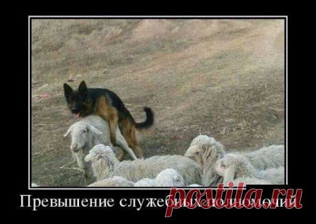 Все ясно!!!