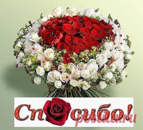 (99) Одноклассники