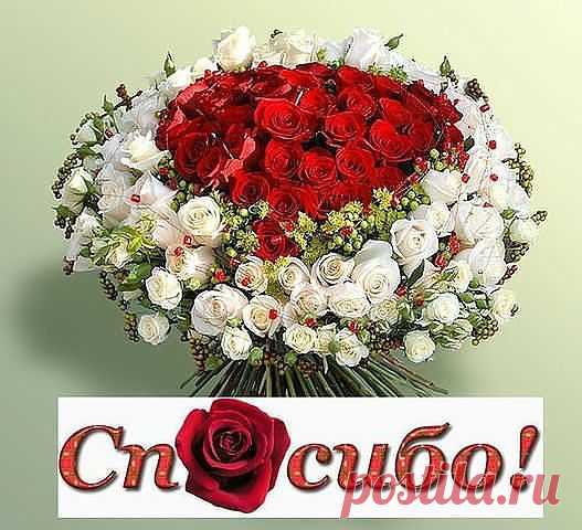 (99) Одноклассники