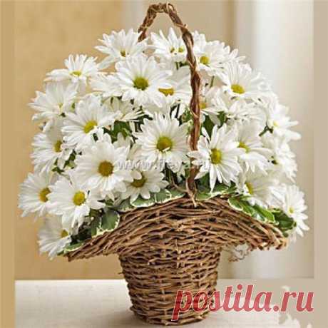 Фотографии на стене сообщества | 32 767 фотографий