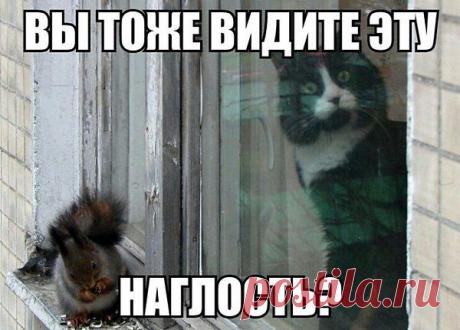 Интересные новости