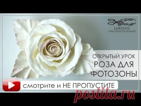 Открытый урок РОЗА ДЛЯ ФОТОЗОНЫ от Светланы Копцевой