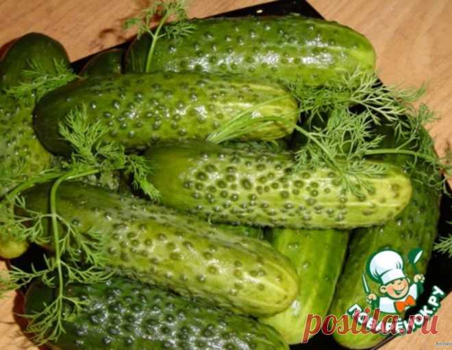 Огурцы малосольные – кулинарный рецепт