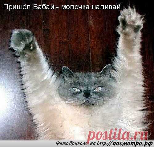 ♥♥Житейская мудрость ♥♥