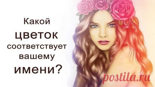 (67) Одноклассники