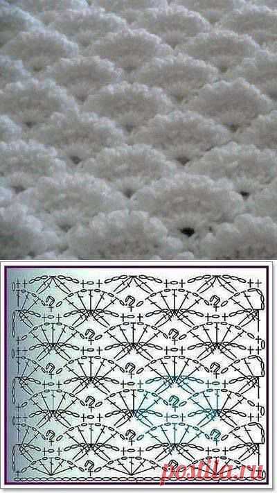 (6) Facebook