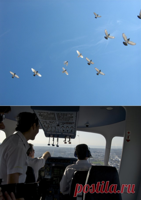 6 причин, почему летающие автомобили пока не взлетели – Вести Экономика, 08.02.2019