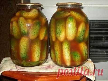 Маринованные огурцы с кетчупом 
Эти огурчики я попробовала на пикнике 1 мая в прошлом году. Принесла их коллега по работе со словами:»Залежались дома…». В итоге (она живёт рядом с посадкой, в которой мы отдыхали) ей пришлось идти з…