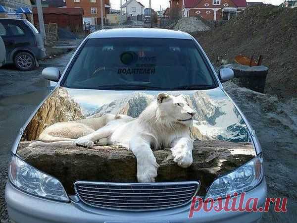 Интересные новости