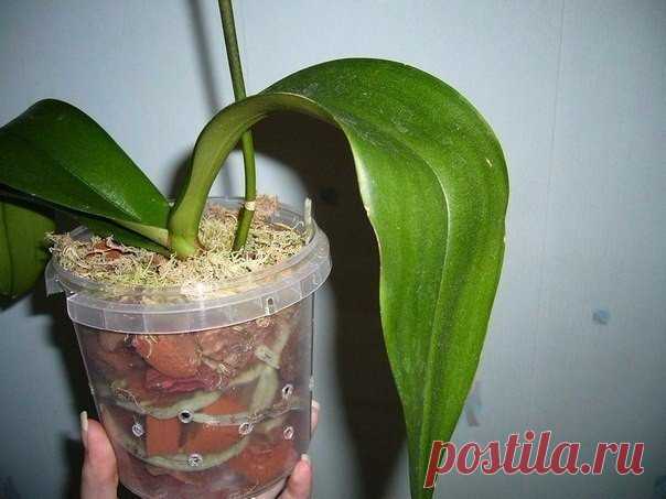 Мои закладки