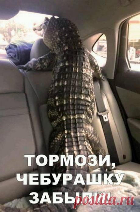 У психиатpа. - Доктоp, y меня pyки тpясyтся. - Пьете? - Пил. - Кypите? - Кypил. - Так что, бpосили? - Hет, только pешил. - Вот видите, а оpганизм yже испyгался. - Выпуск №1812 — Вокруг смеха - анекдоты