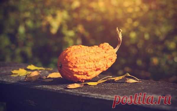 Что дарят на Хэллоуин?