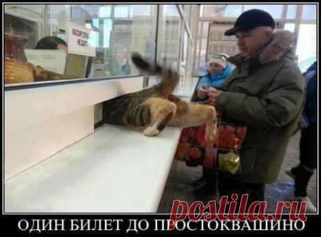 Счастье - это когда твое счастье счастливо рядом с тобой...