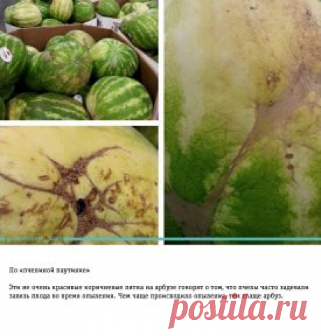 Сохраните себе, чтобы не потерять!