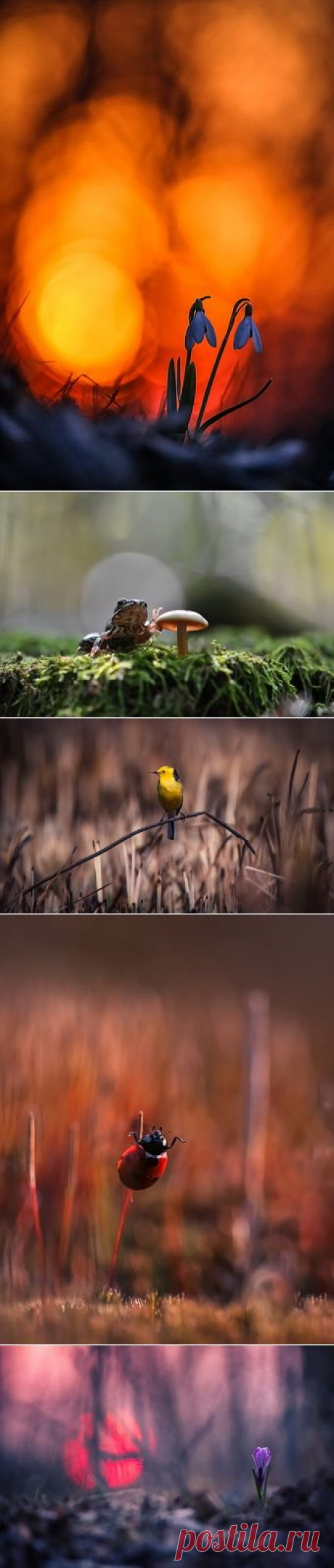 Вячеслав Мищенко - фотографии. 35фото