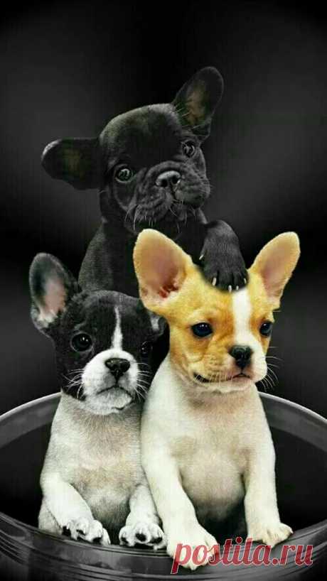 Мир ярких красок - Google+