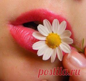 Как ухаживать за губами? | Друг пенсионера
Современные женщины ухаживают за всеми частями своего тела. И губы не стали исключением. Косметологи постоянно говорят о том, что при уходе за лицом не следует забывать о губах – они тоже нуждаются в качественном регулярном уходе.