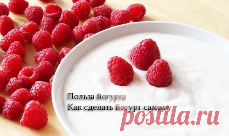 Для всех #йогурт - это #продукт для здоровья и хорошего самочувствия.
- Чем он так полезен?

Подробно о том, чем йогурт полезен. И все тонкости, как сделать йогурт в домашних условиях самому без особых проблем…