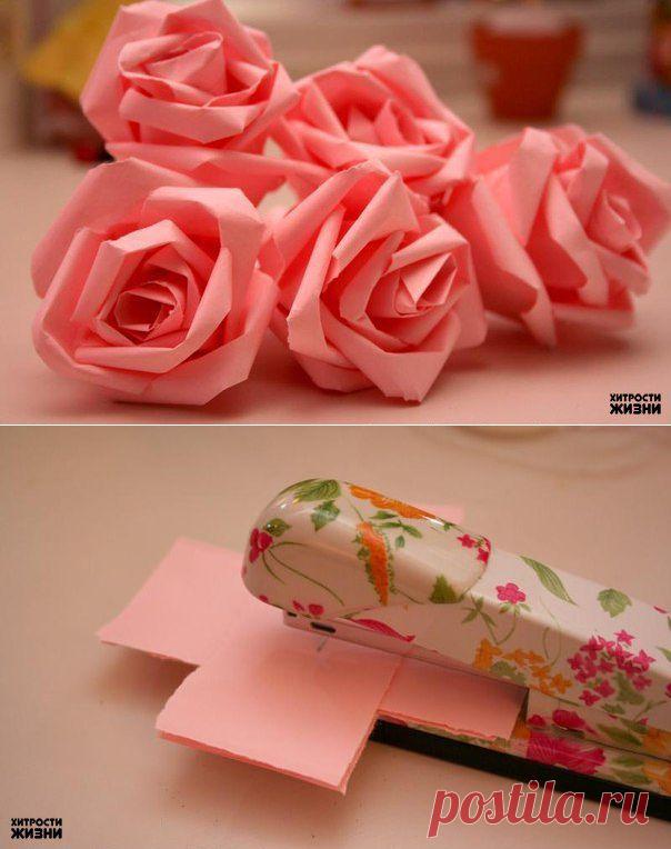 Розы из бумаги | Хитрости Жизни