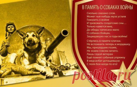 Военные собаки и их подвиги