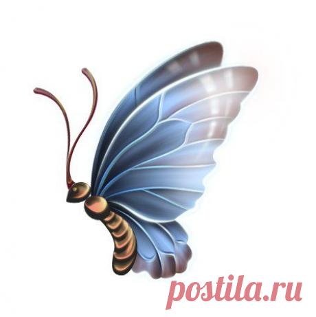 Картинки для творчества | 1 772 фотографии | ВКонтакте