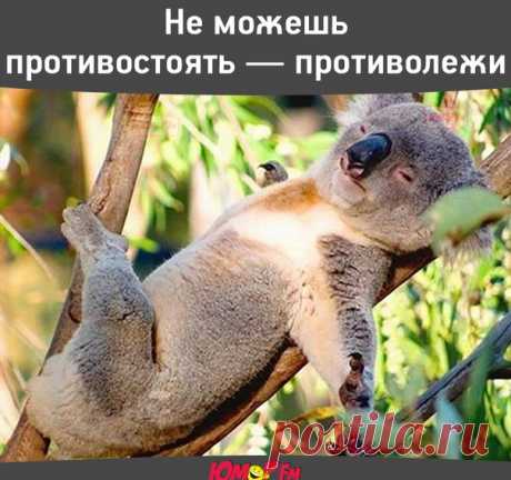 Доброе утро!)))
#ЮморФМ #ЮморFM #радиоЮморФМ