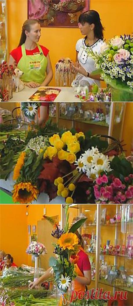 НТВ Плюс, Праздник 1 сентября