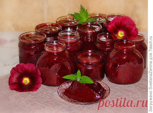 Самое вкусное, самое быстрое, самое полезное желе из черной смородины