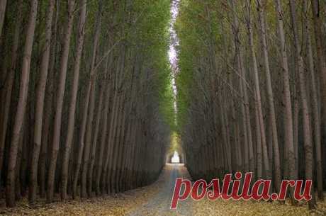 Живописная лесоферма в Орегоне - Путешествуем вместе