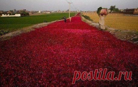 Одноклассники