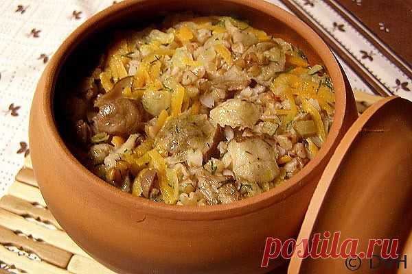В горшочках / гречка с грибами / Мои любимые рецепты