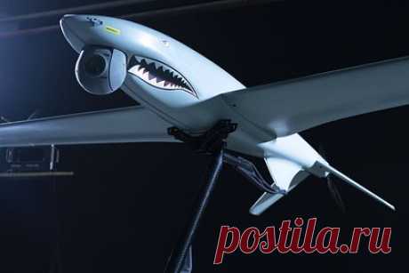 Украина показала применяемые против России Shark и Loki. Украина показала беспилотные летательные аппараты, которые применяют против России, на оборонной выставке World Defense Show в Эр-Рияде. На стенде компании National Association of Ukrainian Defense Industries представили многоцелевые аппараты Shark и дроны для корректировки артиллерии Gor.