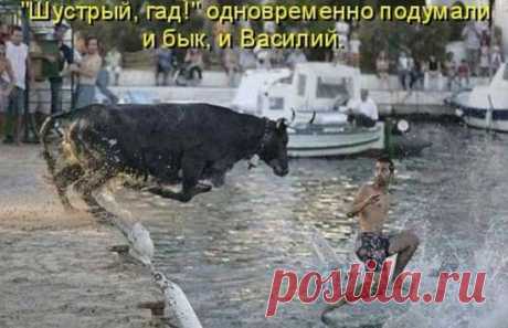 Интересные новости