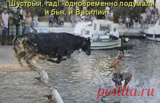 Интересные новости