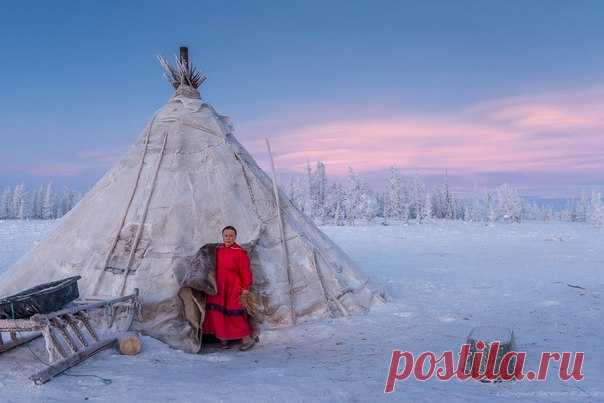 Екатерина Васягина, автор фото: «Ненецкие женщины просыпаются раньше всех, топят за ночь остывший чум и готовят завтрак для мужа и детей».