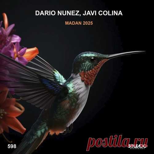 Dario Nunez, Javi Colina - Madan 2025 (original mix) free download mp3 music 320kbps