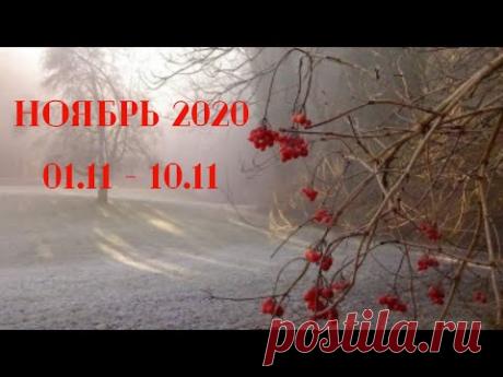 Таро Прогноз на ноябрь 2020  (период 01-10 ноября  2020 года) Астрологический Оракул Симболон