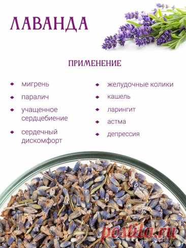 Лаванда