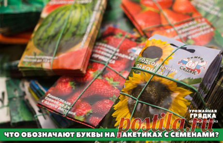 (50) Одноклассники