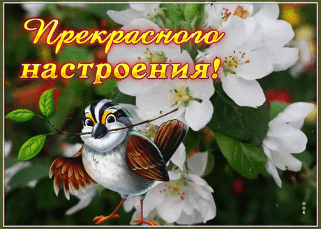 Открытка прекрасного настроения с цветущим деревом